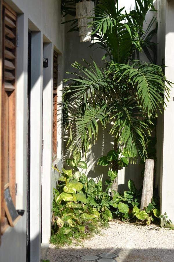 Hostal Dona Lucha Tulum Extérieur photo
