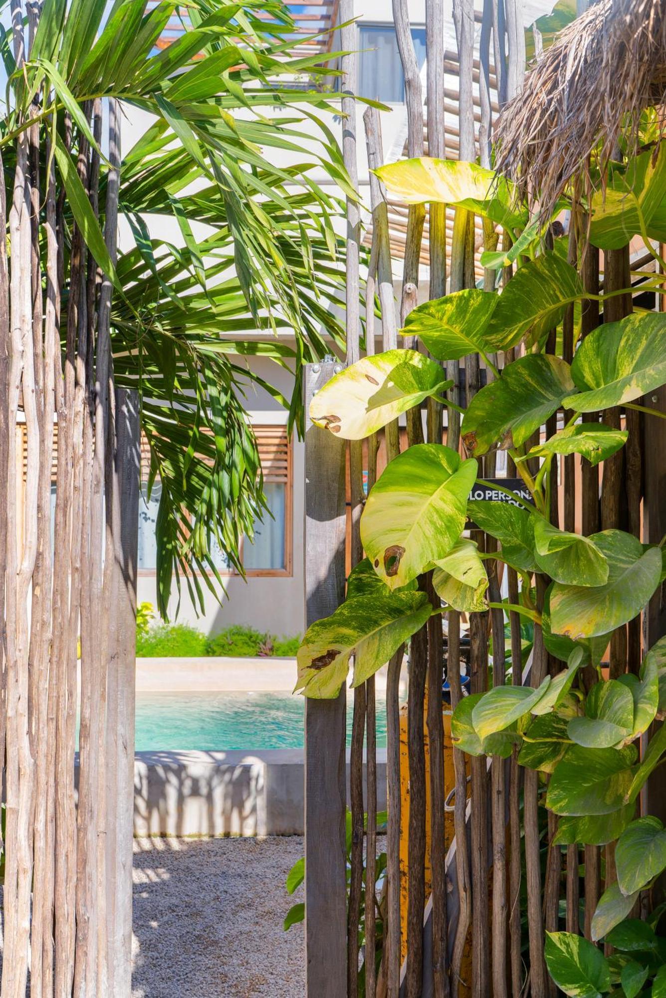 Hostal Dona Lucha Tulum Extérieur photo